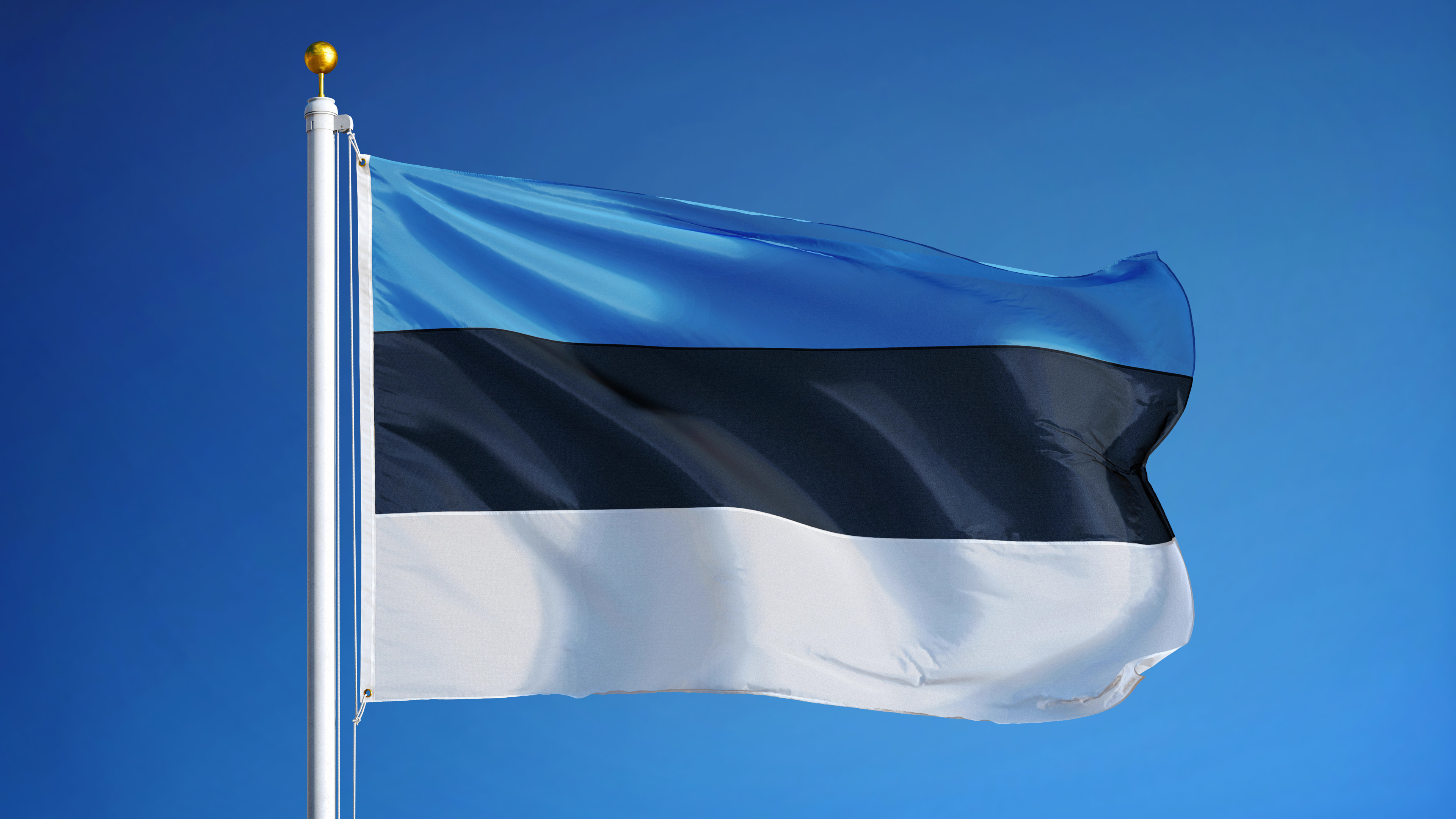 Wywiad z przedstawicielem Organu Nadzorczego z Estonii