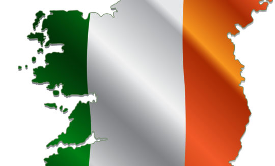 Ostra krytyka irlandzkiego organu nadzorczego