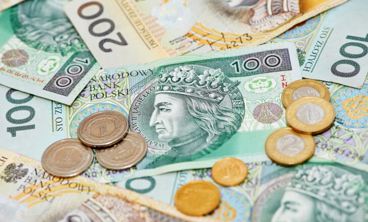 Banknoty i monety PLN