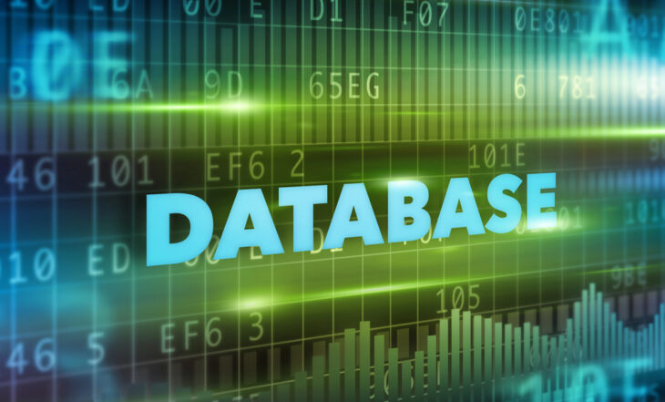 Coraz więcej państwowych baz danych – szansa czy zagrożenie?